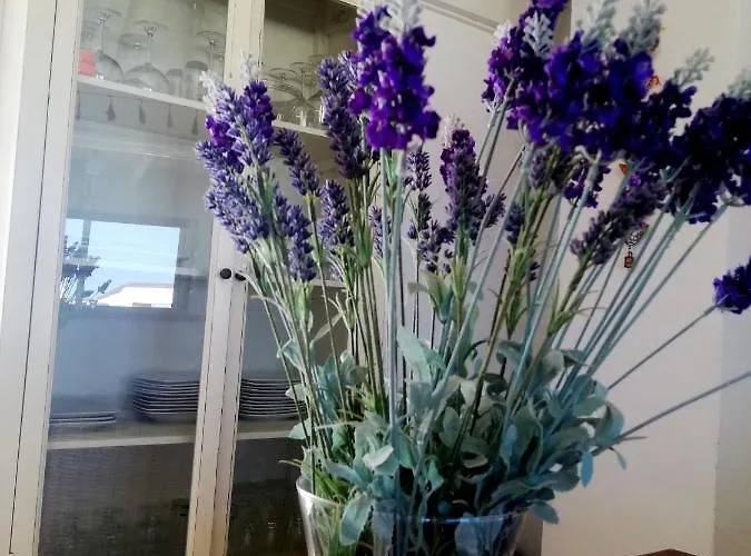 Casa Letizia Apartmán Corralejo